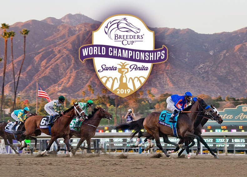 BREEDERS CUP 2019