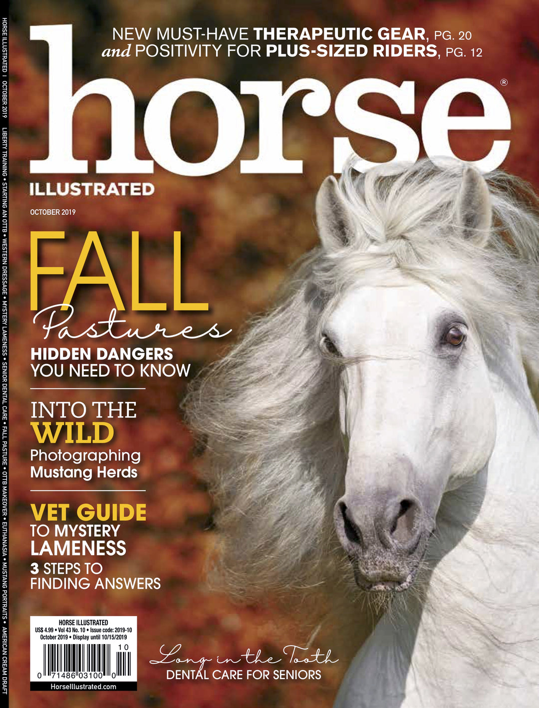 Latest Feature at HORSE ILLUSTRADER