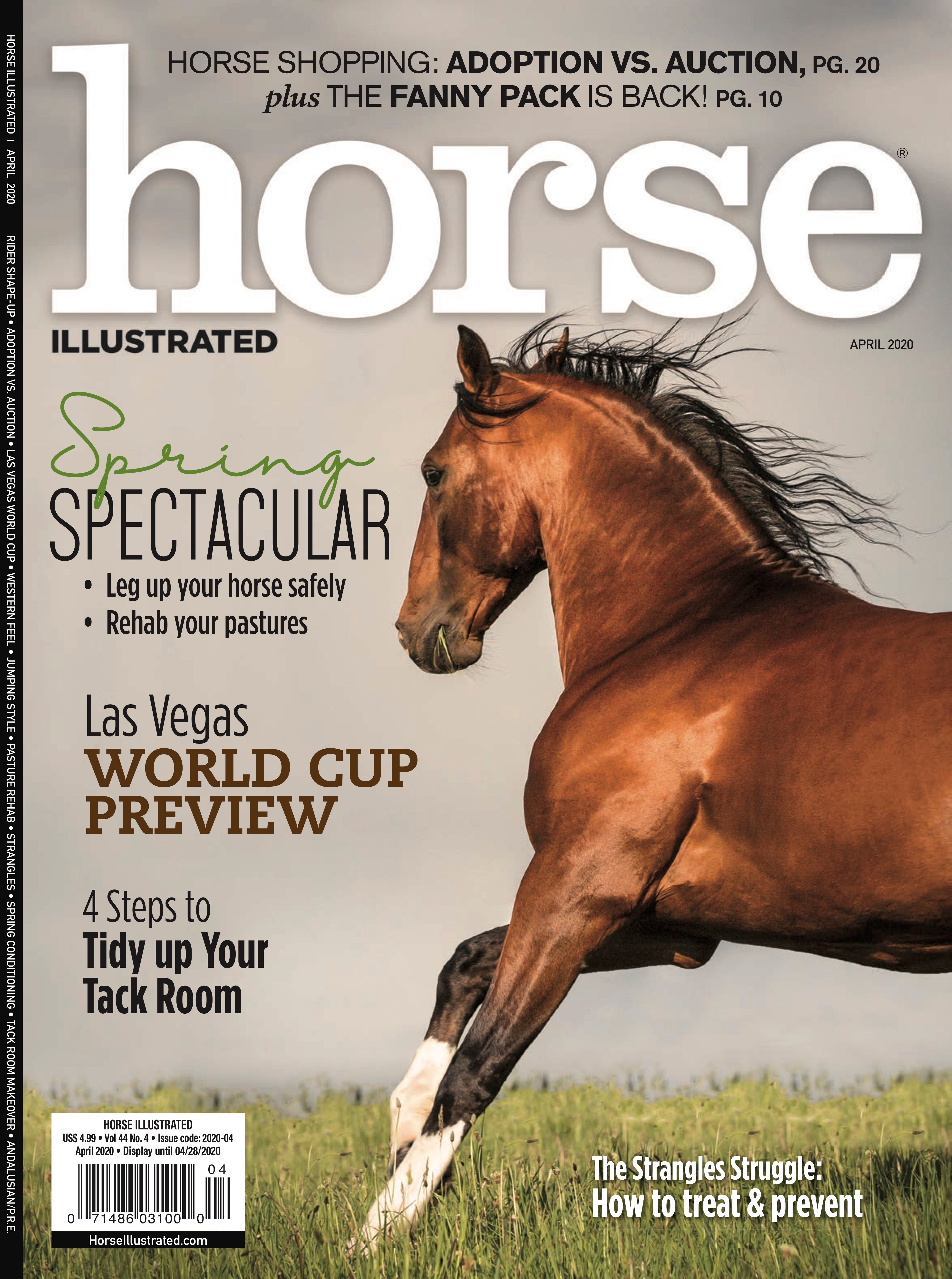 Spring Feature at: HORSE ILLUSTRATED