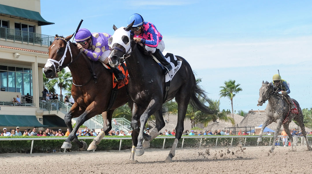 Pegasus World Cup 2019