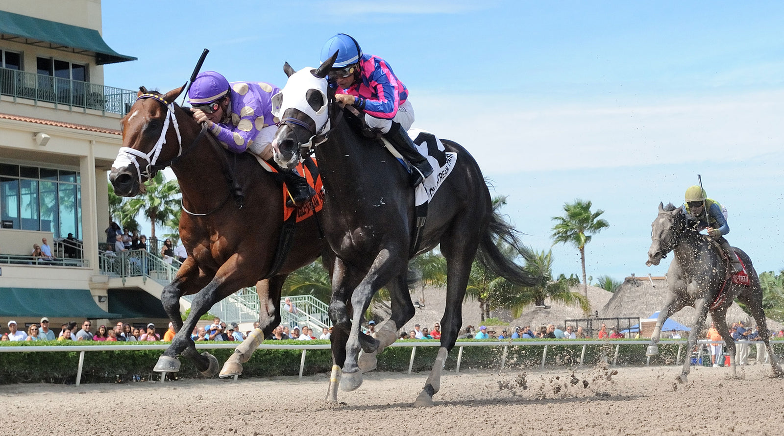 Pegasus World Cup 2019