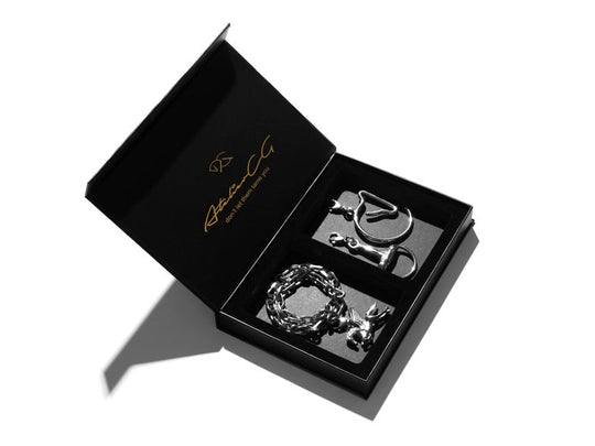 MARTINI CASE | silver