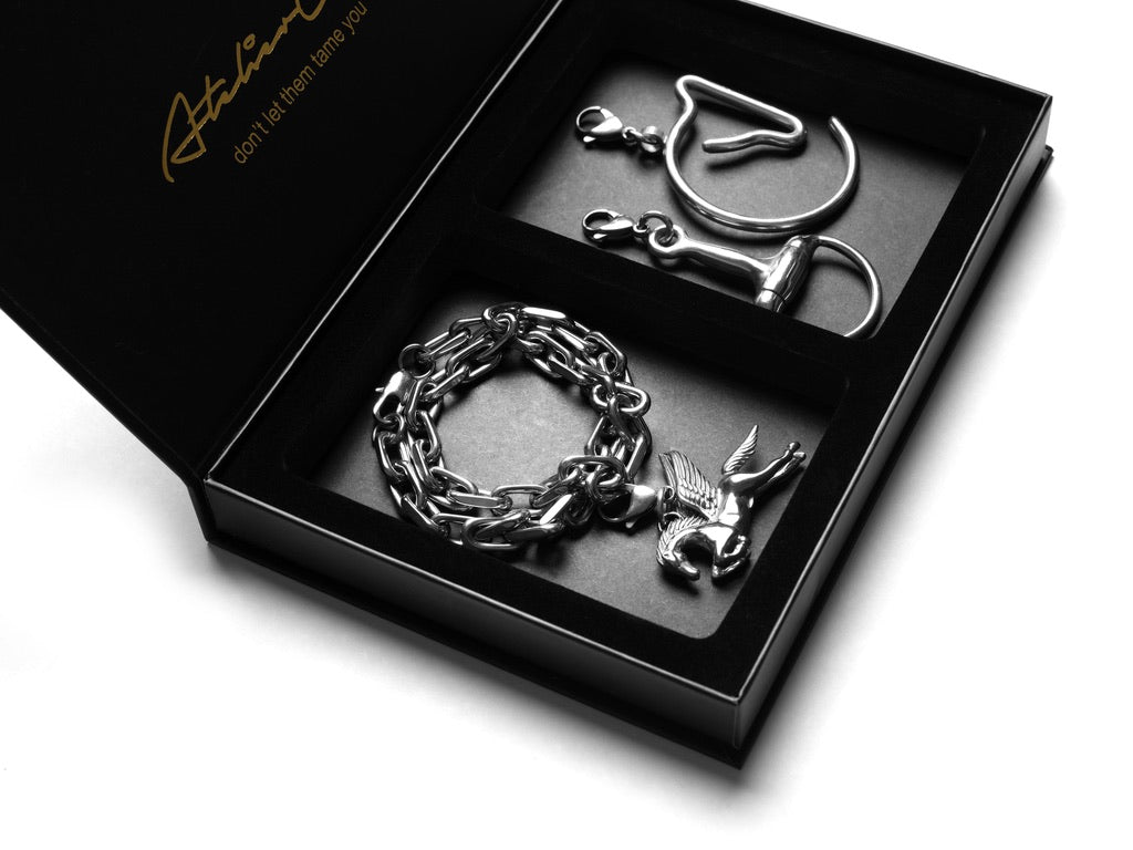 MARTINI CASE | silver