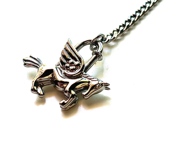WA LARIAT NECKLACE | silver