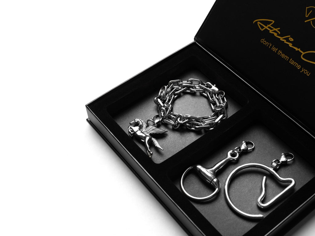 MARTINI CASE | silver