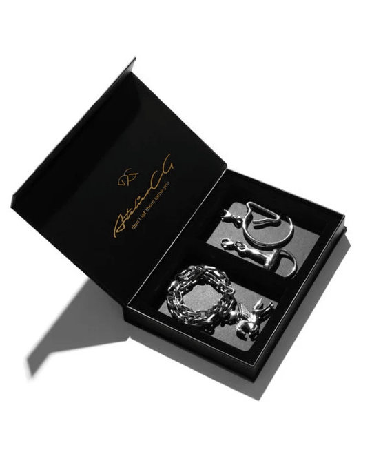 MARTINI CASE | silver